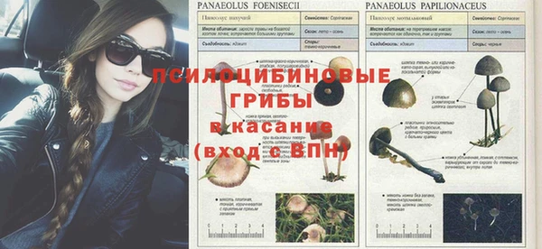 соль курить ск Арсеньев