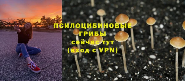 крисы Армянск