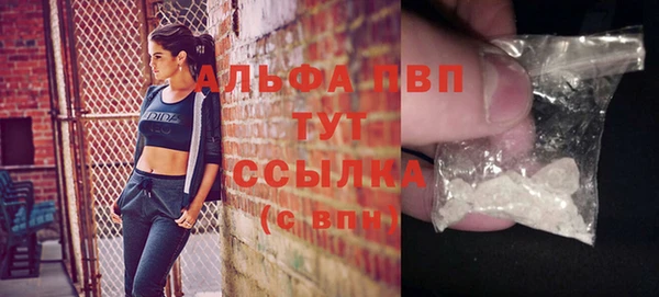 крисы Армянск