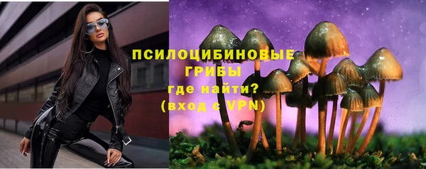 крисы Армянск