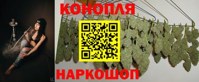 прущая мука Пугачёв