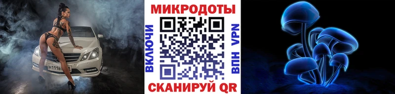 дарк нет клад  Арзамас  Псилоцибиновые грибы мухоморы 