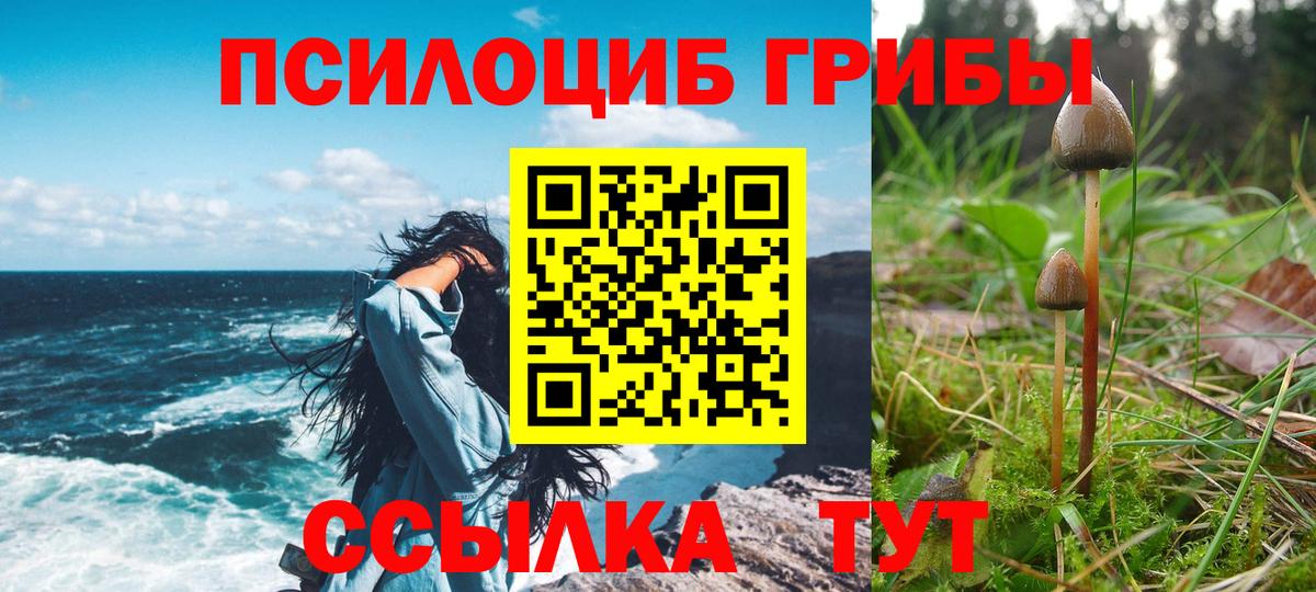 Галлюциногенные грибы Magic Shrooms Арзамас
