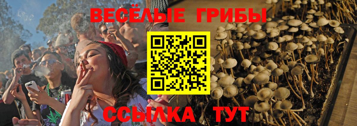 Арзамас  Галлюциногенные грибы Cubensis  Вход с VPN 